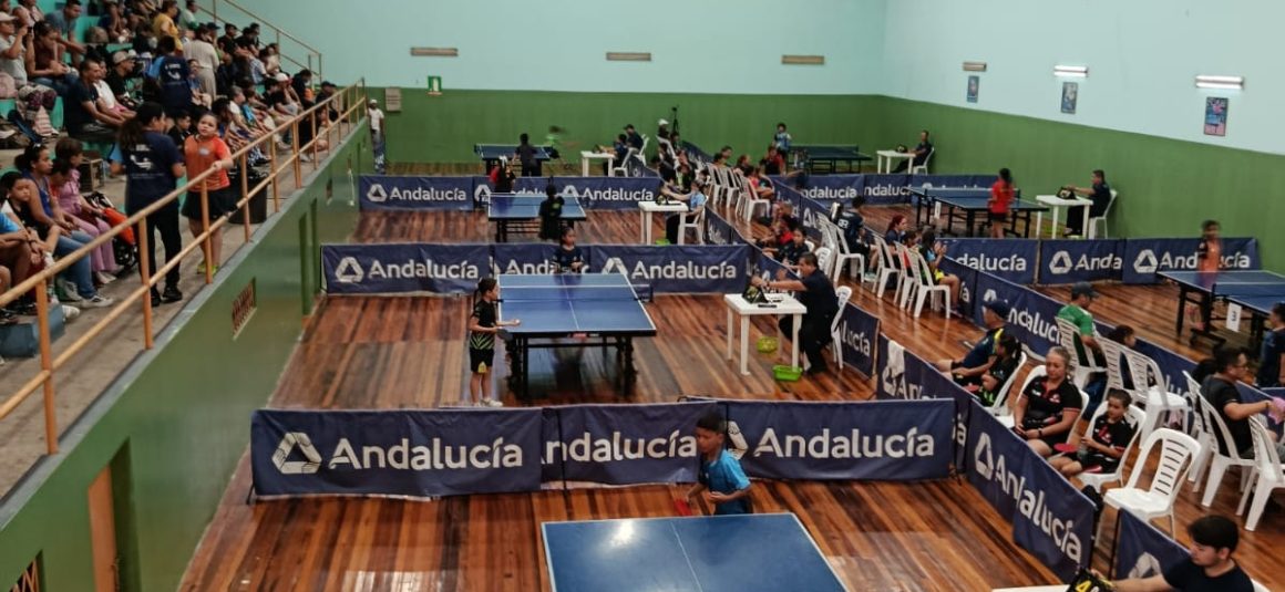 Portoviejo coronó a los mejores del tenis de mesa formativo en el Campeonato Nacional Selectivo U10-U12 2026 Portoviejo coronó a los mejores del tenis de mesa formativo en el Campeonato Nacional Selectivo U10-U12 2026